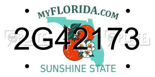 2G42173 Florida License Plate