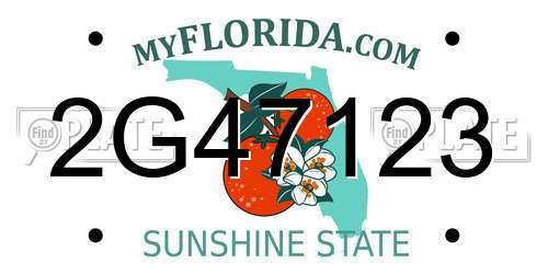 2G47123 Florida License Plate