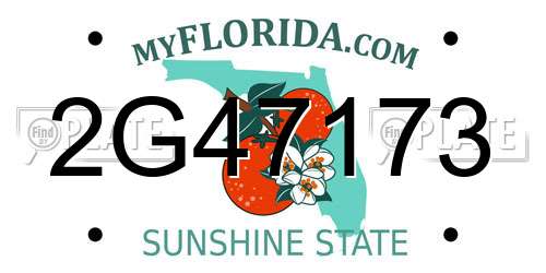 2G47173 Florida License Plate