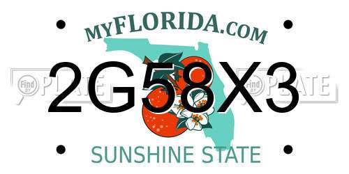 2G58X3 Florida License Plate