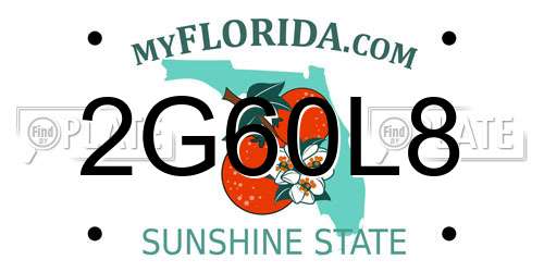 2G60L8 Florida License Plate