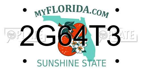 2G64T3 Florida License Plate