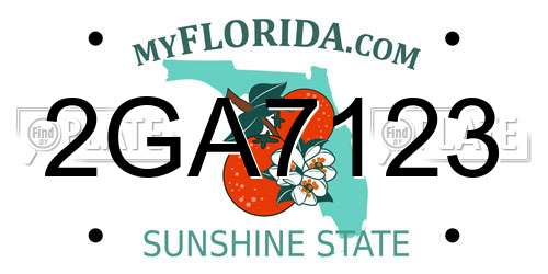 2GA7123 Florida License Plate
