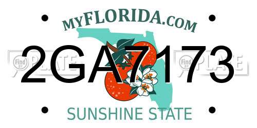 2GA7173 Florida License Plate