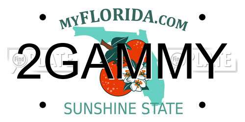 2GAMMY Florida License Plate