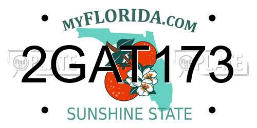 2GAT173 Florida License Plate