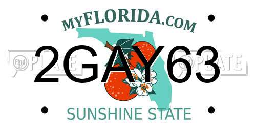 2GAY63 Florida License Plate