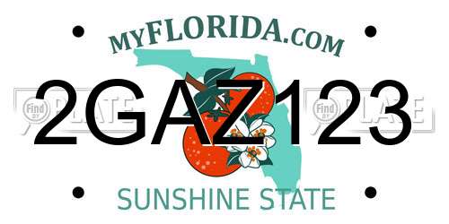 2GAZ123 Florida License Plate