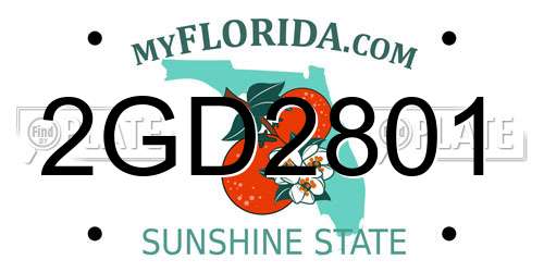 2GD2801 Florida License Plate