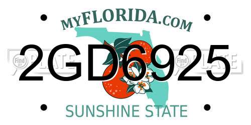 2GD6925 Florida License Plate