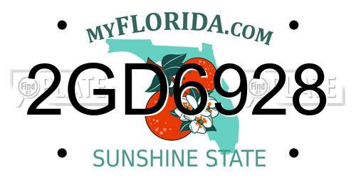 2GD6928 Florida License Plate