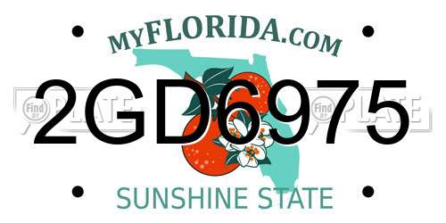 2GD6975 Florida License Plate