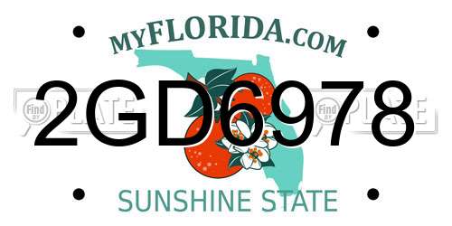 2GD6978 Florida License Plate