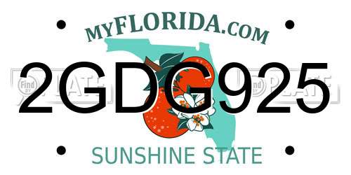 2GDG925 Florida License Plate