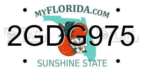 2GDG975 Florida License Plate