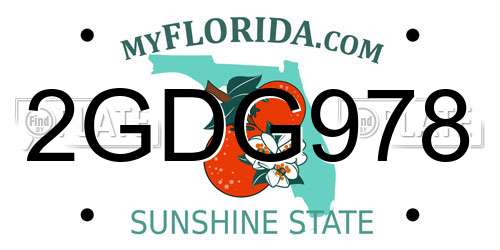 2GDG978 Florida License Plate