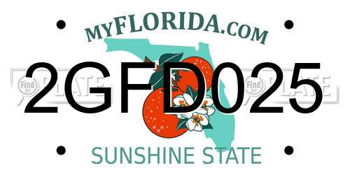2GFD025 Florida License Plate