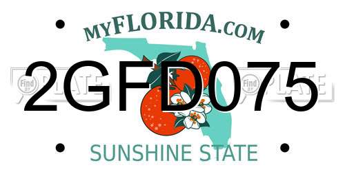 2GFD075 Florida License Plate