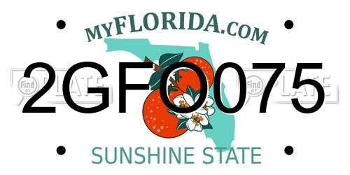 2GFO075 Florida License Plate