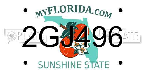 2GJ496 Florida License Plate