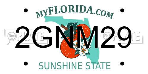 2GNM29 Florida License Plate