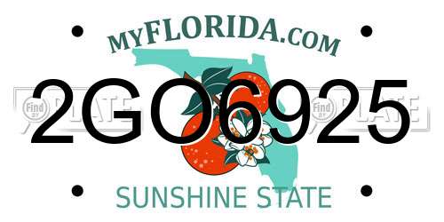 2GO6925 Florida License Plate