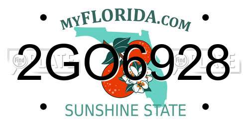 2GO6928 Florida License Plate