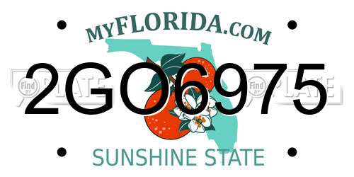 2GO6975 Florida License Plate