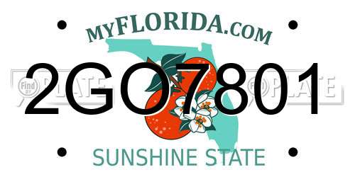 2GO7801 Florida License Plate