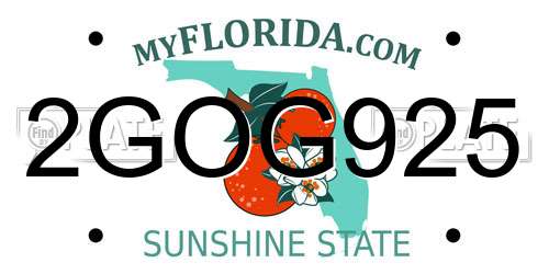 2GOG925 Florida License Plate