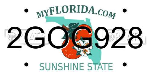 2GOG928 Florida License Plate
