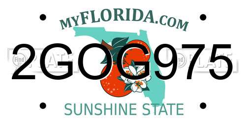 2GOG975 Florida License Plate