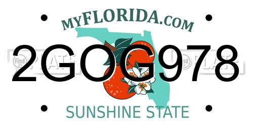 2GOG978 Florida License Plate