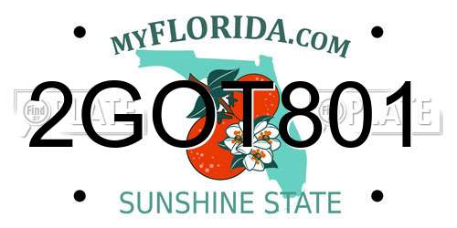 2GOT801 Florida License Plate