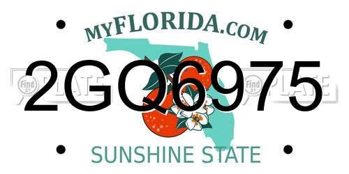 2GQ6975 Florida License Plate