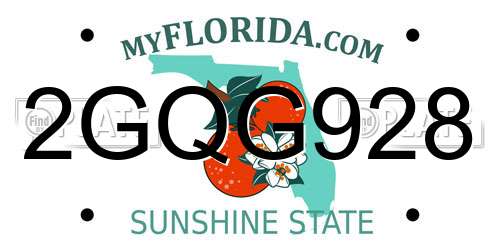 2GQG928 Florida License Plate