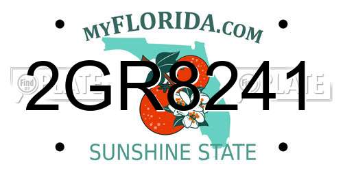 2GR8241 Florida License Plate