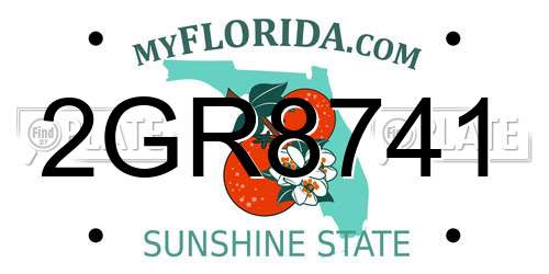 2GR8741 Florida License Plate