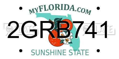 2GRB741 Florida License Plate