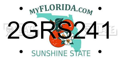 2GRS241 Florida License Plate
