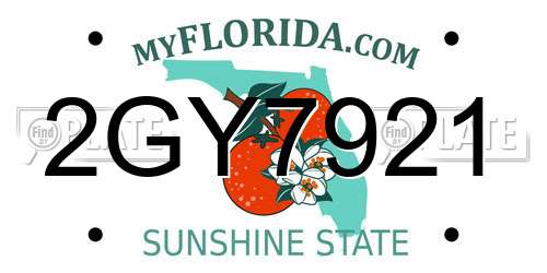 2GY7921 Florida License Plate