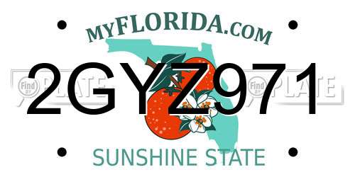 2GYZ971 Florida License Plate