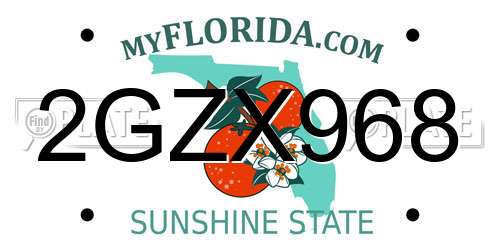2GZX968 Florida License Plate