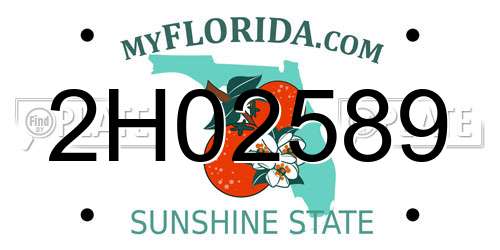 2H02589 Florida License Plate
