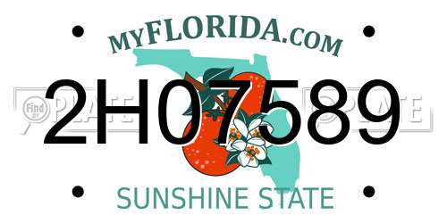2H07589 Florida License Plate