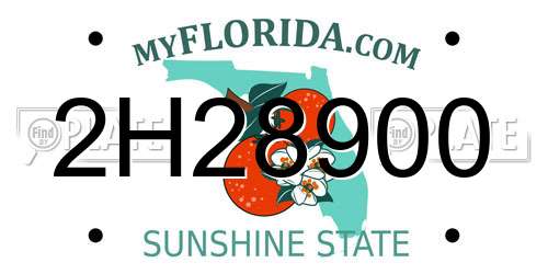 2H28900 Florida License Plate