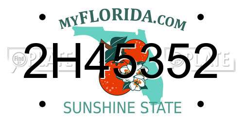2H45352 Florida License Plate