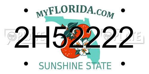 2H52222 Florida License Plate