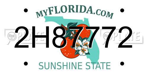 2H87772 Florida License Plate