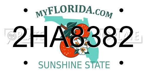 2HA8382 Florida License Plate